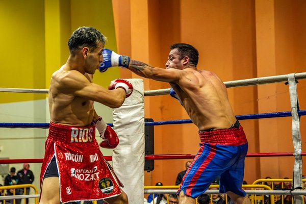 Impact économique des fédérations de basketball