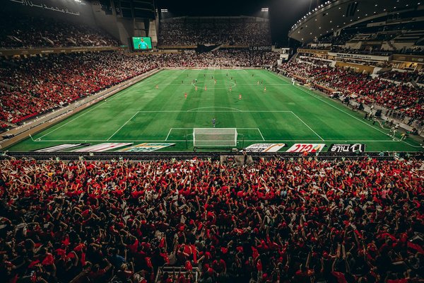 Budget nécessaire pour atteindre la ceinture noire