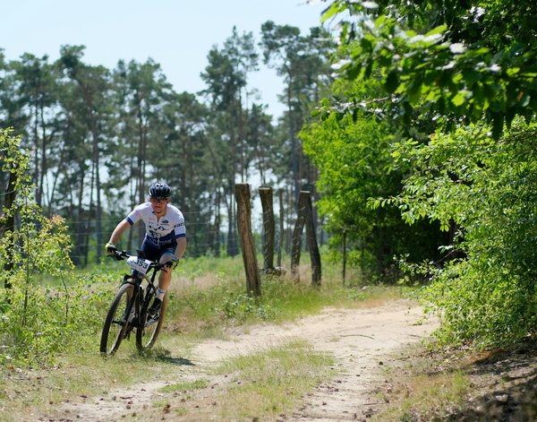 Évolution de la représentativité féminine dans les fédérations de basket